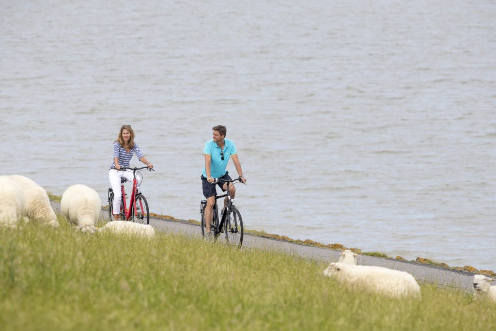Eine Radtour am Deich ist ideal für einen entspannten Urlaub
