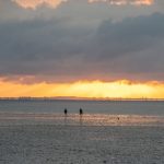 Watt zum Sonnenuntergang - Wattwanderung Sonnenuntergang