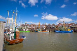 Erntemarkt rund um den Hafen in Neuharlingersiel Erntemarkt rund um den Hafen in Neuharlingersiel