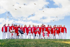 Delme Shanty Singers Delme Shanty Singers