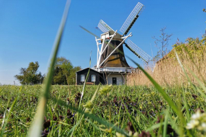 Muehlenfuehrung-Seriemer-Muehle-Neuharlingersiel