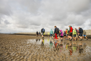 Wattwanderung-im-UNESCO-Weltnaturerbe-Wattenmeer